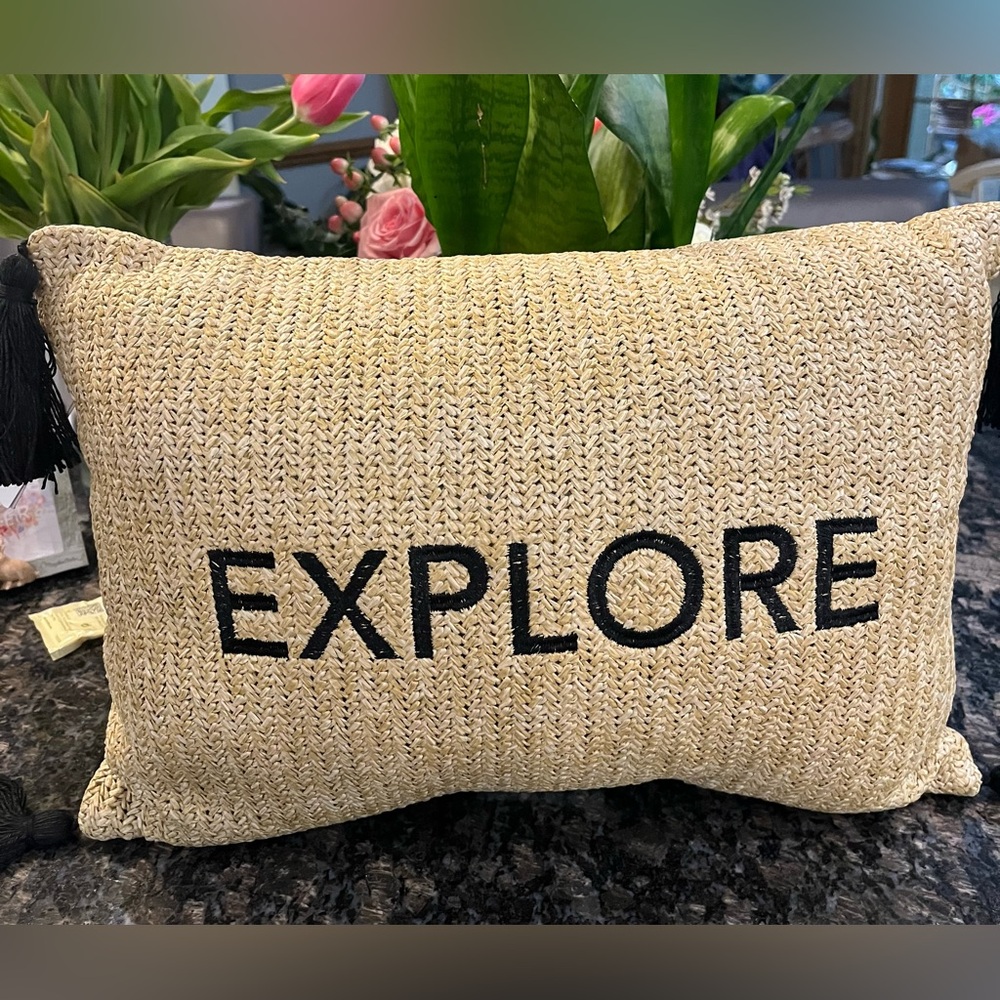 New Kohls Explore Indoor/Outdoor Pillow